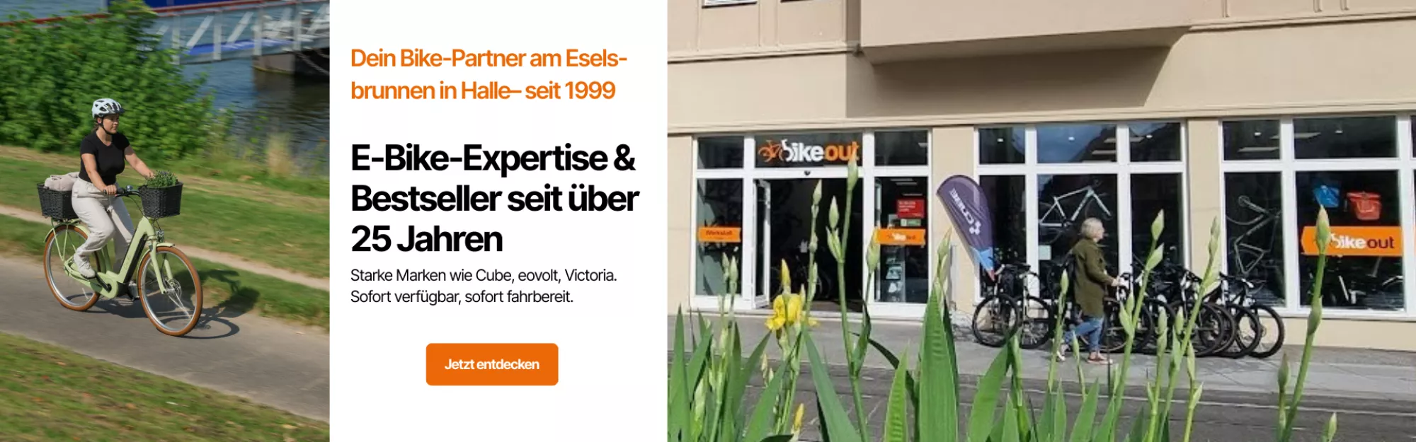 Experte & Bestseller seit 25 Jahren